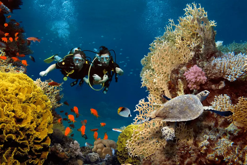 scuba13 1