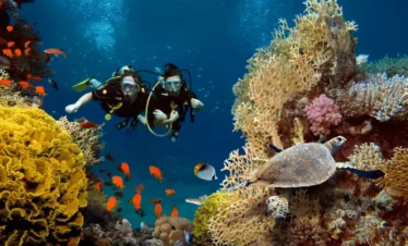 Scuba Diving at At Grand Island